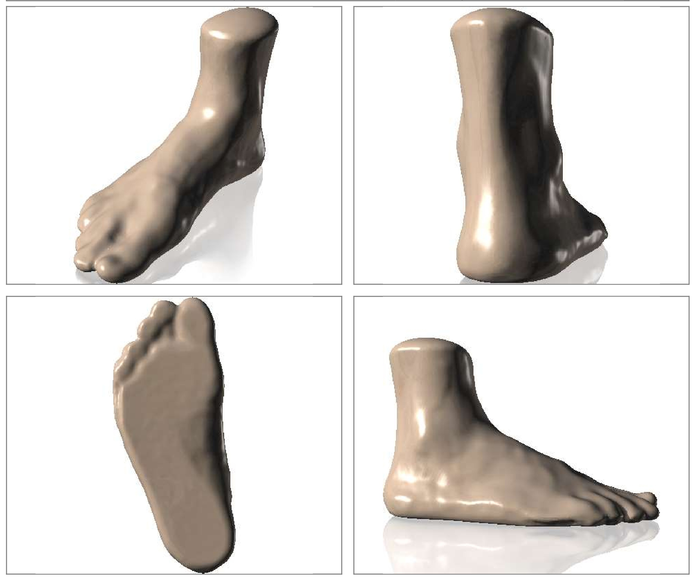 گزارش اسکن سه بعدی پا